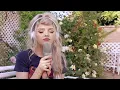 Download Lagu Halo - Beyonce || Full Cover By Larissa Lambert