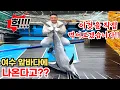 Download Lagu 바다의 치타라고 불리는 생선을 직접 먹어보겠습니다!