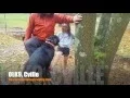 1 Year Old Mix Mac Harrisonburg Dog Trainers