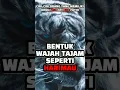 Download Lagu CIRI CIRI ORANG YANG MEMILIKI KHODAM HARIMAU PUTIH