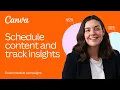 Schedule your content and track insights
