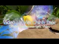 Download Lagu Fools Garden - Lemon Tree (Vietnamese Lyric Video)