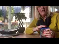 Free psychic reading - pick your card