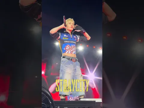 STRAY CITY in Mexico City Recap