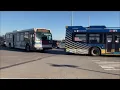 Staten Island Buses Line Up to Turn Left at the Light