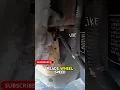 Download Lagu Waarom uw ABS afhankelijk is van deze kleine magnetische sensor!
