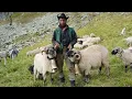 Download Lagu Ciobanașu' Marinel a trăit o vară la oi într-o PEȘTERĂ | CLOPOTELE MUNȚILOR - munții RETEZAT Ep.5