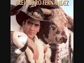 Alejandro Fernandez - Cascos Ligeros