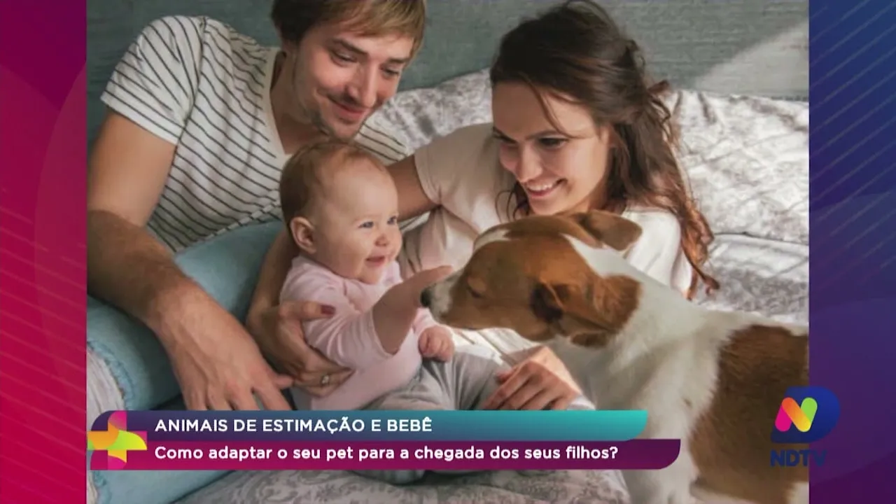 Animais de estimação e bebê: como adaptar o seu pet para a chegada dos seus filhos?