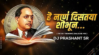 he naan distaya shobhun tiktok trending dialouge mix tiktok bhimjayanti special dj prashant sr