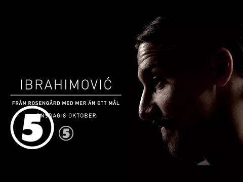 Ibrahimović – från Rosengård med mer än ett mål