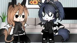 احببتها رغم انها لا تحبني كرزات روز قاشا نحو المستقبل 