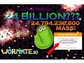 WORMATE IO NEW WORLD RECORD 24 794 236 800 MASS 24 BILLION MASS IN WORMATE IO