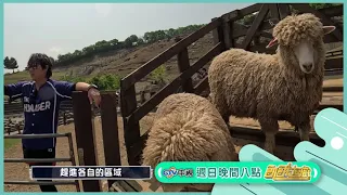                                        دندنها