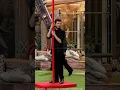 Download Lagu Munawar Laila dance🔥😘#trending #youtubeshorts #viral #video #cute #love #status #shortsvideo #2023