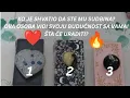 Download Lagu KO JE SHVATIO DA STE MU SUDBINA? OVA OSOBA VIDI SVOJU BUDUĆNOST SA VAMA! ŠTA ĆE URADITI? ❤️🔥💞 