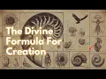 This Sacred Geometry Will Help You Understand The Universe Fibonacci Spiral Golden Ratio