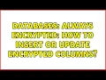 Databases Always Encrypted How to insert or update encrypted columns