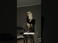 Download Lagu De katten-‘spookpatrouille’-theorie om 3 uur ’s nachts 👻🐈