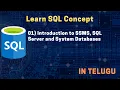 01 Introduction to SSMS SQL Server and System Databases