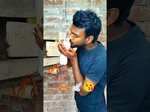 আমার সুলতানের সাথে স্বপ্নে এটা কি হয়ে গেল 💔🕊😘 #pigeon #kabootar #shorts #viralvideo #sadsong