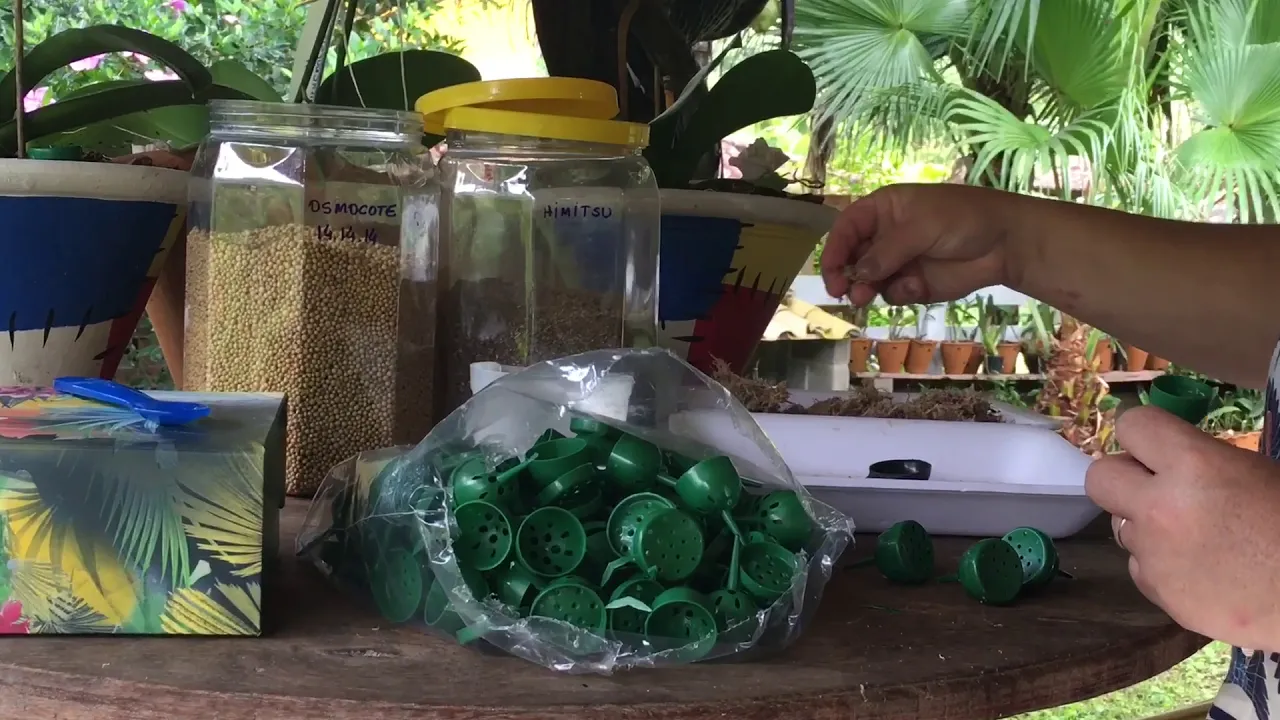 COMO USAR PORTA ADUBO ADUBAÇÃO LENTA ORQUÍDEAS