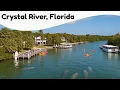 10 Best Things to Do in Crystal River Florida