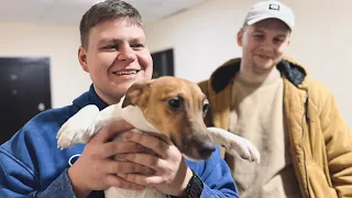 КУПИЛ СОБАКУ — ВЛОГ🔥