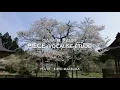 Pièce - Vocalise-étude (Gabriel Fauré) flute : Kirio Matsuda