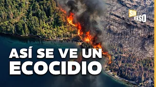 ECOCIDIO en CHUBUT: GREENPEACE documentó el daño de los INCENDIOS FORESTALES y reclama MÁS RECURSOS