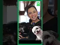 Download Lagu Shahnaz Haque sedih, menangis, hingga sleep walking saat kehilangan anjing #dogidogilu