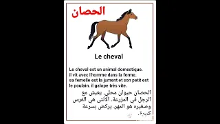  الحصان أليف مزرعة بالفرنسية ثانوية دندنها