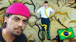 Came to Brazil to see snakes