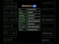 Selector in css