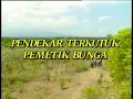 Download Lagu Pendekar terkutuk pemetik bunga