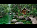 Download Lagu Healing Music for Inner Peace🌿Soothing Nature Sounds to Relieve Stress🎵Calm Music, Relaxing Music