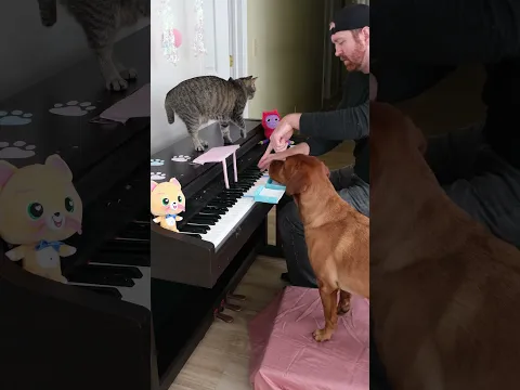 Cat and Dog Play Gabby's Dollhouse Theme #ad