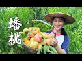 Download Lagu Buah persiknya sudah matang, masing-masing buahnya besar, manis dan cantik