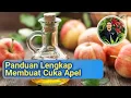 Download Lagu Cara Mudah Membuat Cuka Apel Sendiri, Manfaat dan khasiat Cuka Apel, Membuat Apple Cider Vinegar..!