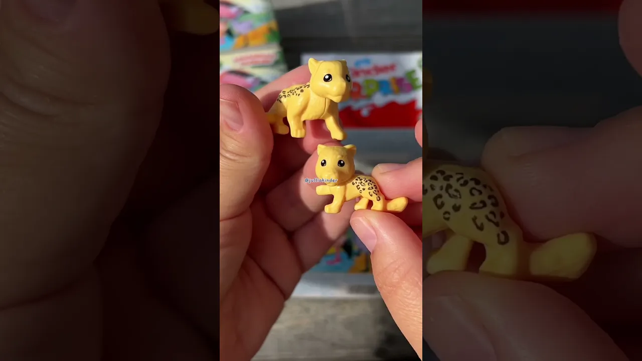 Kinder surprise natoons