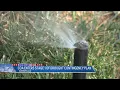 City of Amarillo enters Stage 1 of Drought Contingency Plan