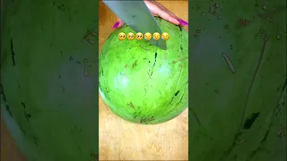 این هندوانه رو جاری جونم بهم داد Organic Watermelon Watermelon Brother In Law S Wife S Gift 