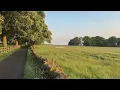 peaceful and inspiring music for painting, reading or relaxing π±πΌπ (a quiet life playlist) 1 hour