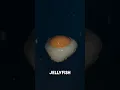 ANIMALS WITH HORRIBLE NAMES