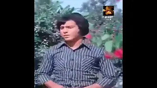 هاني شاكر خايف عليه 