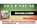 Selenium Method overloading in Java WebDriver