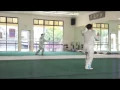 Master Zou Yun Jian Yang Style Tai Chi 40 Forms
