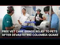 Free Vet Care Brings Relief to Pets After Devastating Colombia Quake AO1S