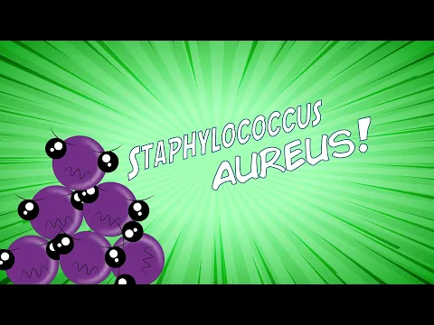 Download MP3 ¡Staphylococcus aureus en 8 minutos!