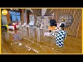 GMA Deals Steals on products to refresh a room